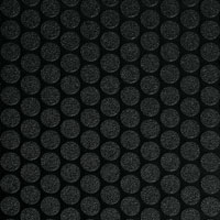 small coin black