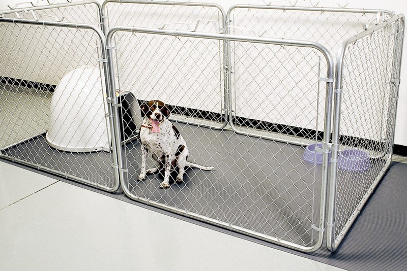 G-Floor Pet Mat